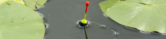 Fishing with bobber or float