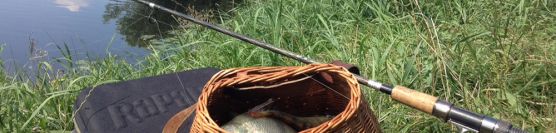 Fishing for perch on Elbe