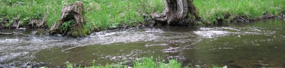 Tenkara near Carlsbad