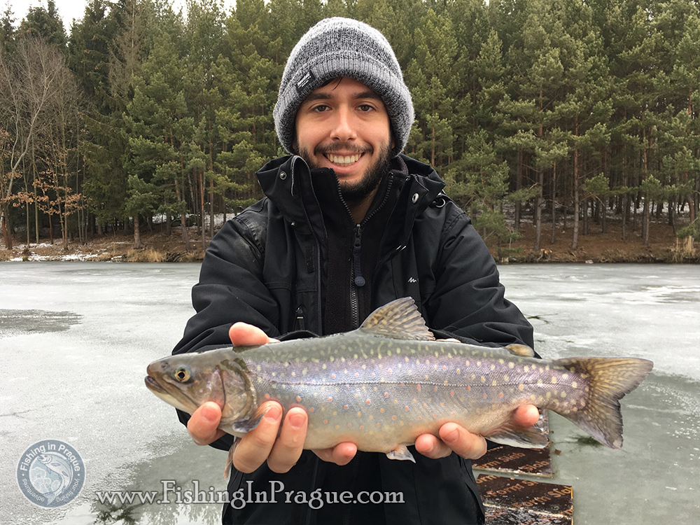 Outstanding 2 pound brook trout