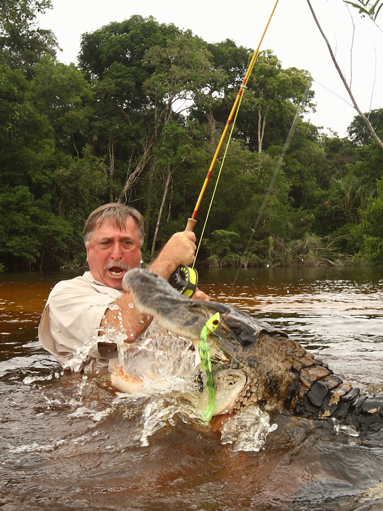 Cayman fishing on Rio Xingu