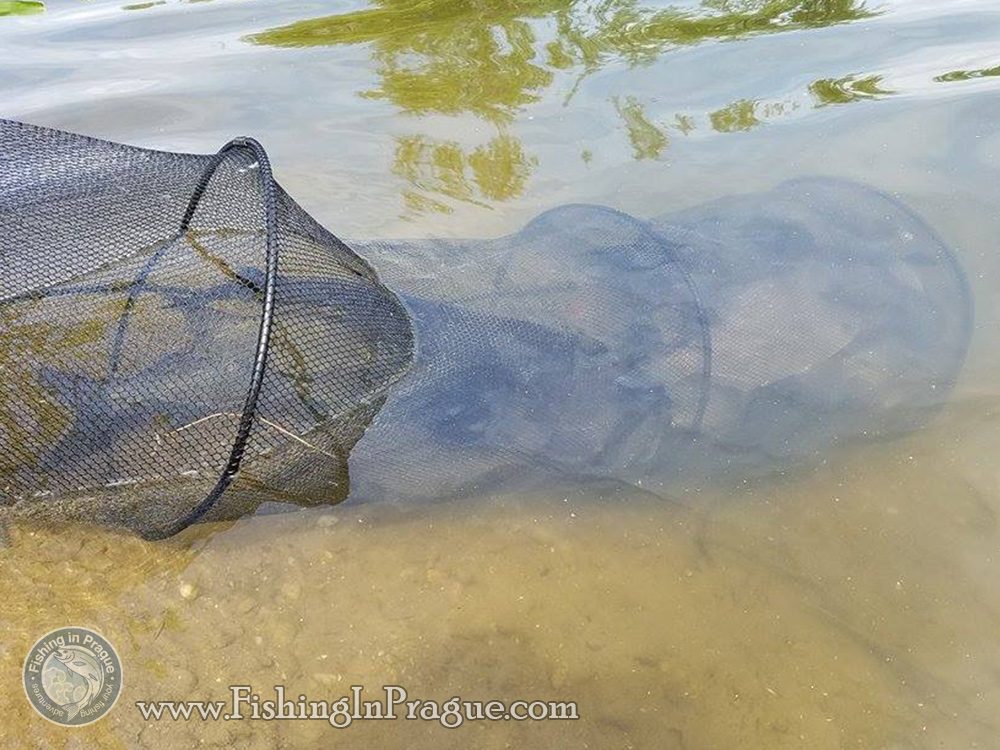 Bobber fishing for silver bream