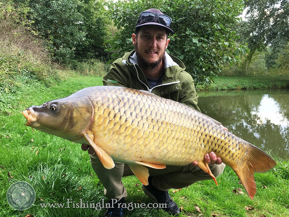 That's a great fish on light tackle!