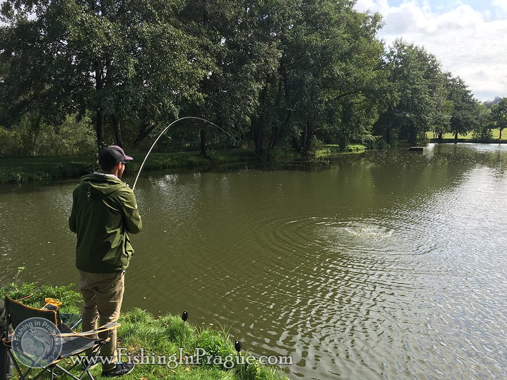 Fighting with big carp