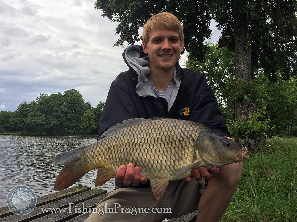 First 4 pounds common carp First 4 pounds common carp