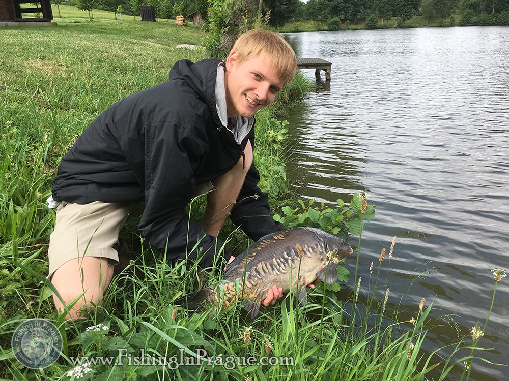 Releasing the mirror carp Releasing the mirror carp