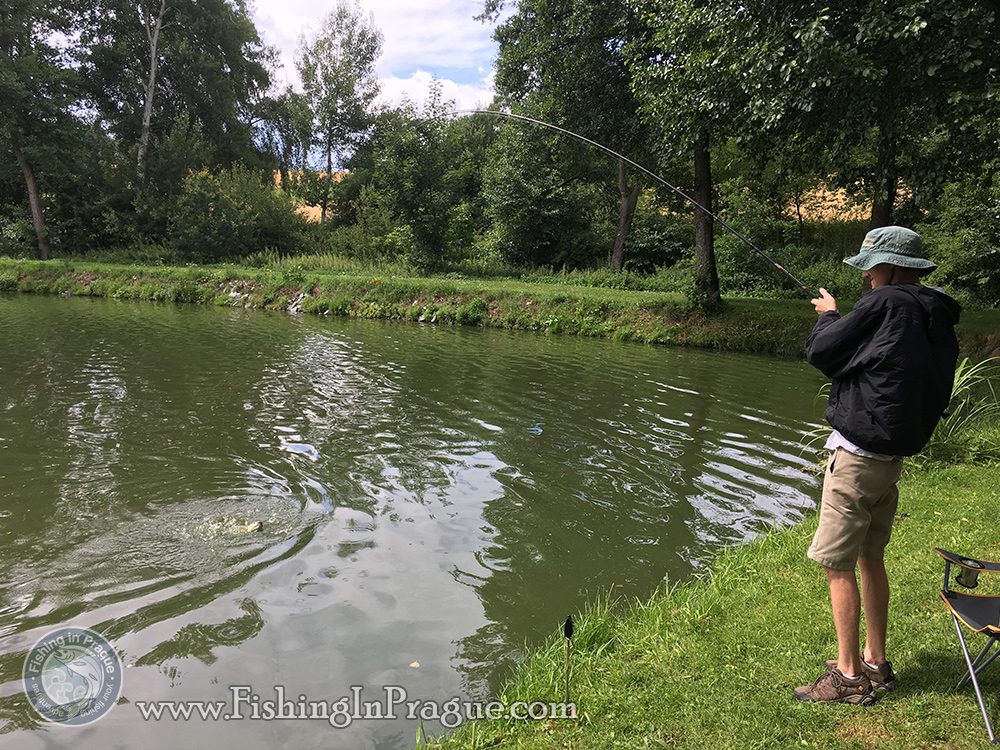 Fighting with big grass carp Fighting with big grass carp