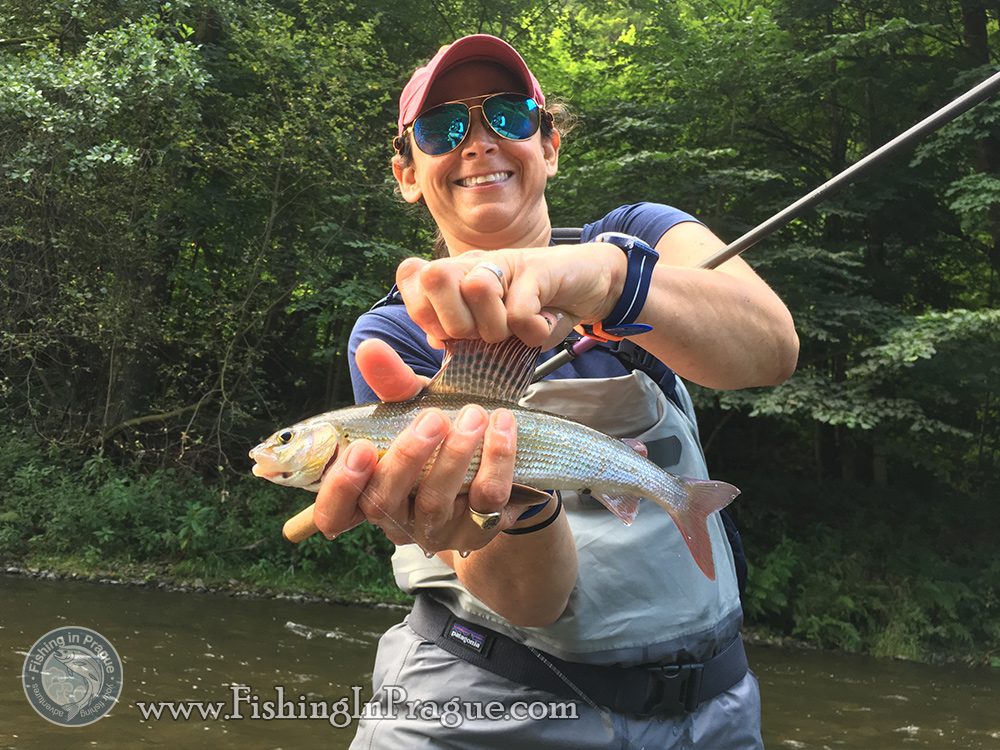One of nice graylings on french nymph