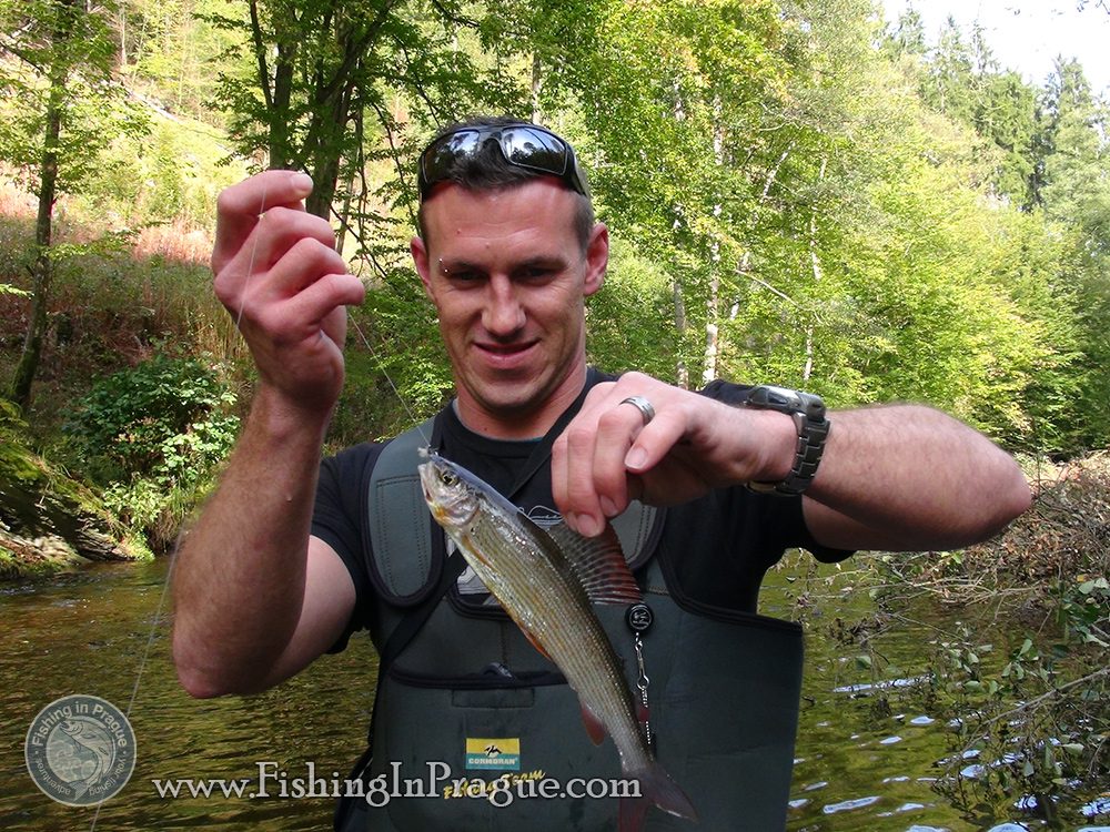 Autumn fly fishing for grayling Autumn fly fishing for grayling