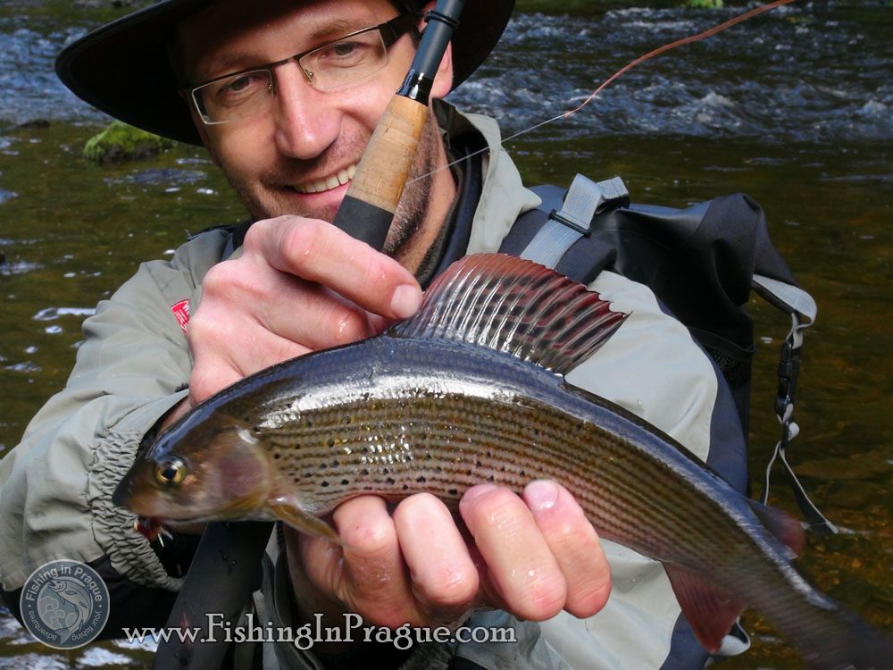 Autumn fly fishing for grayling Autumn fly fishing for grayling
