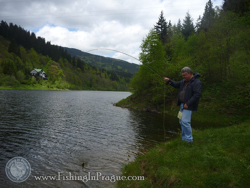 Lake fly fishing - fish draw Lake fly fishing - fish draw