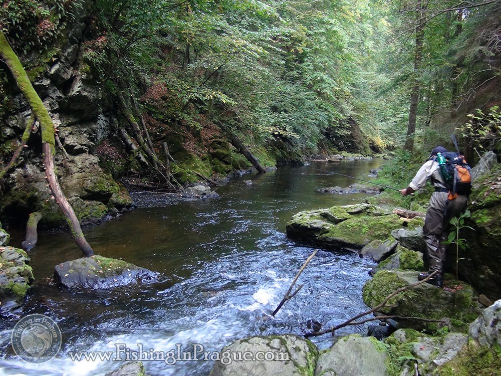 Fly fishing & tenkara in Czech Paradise