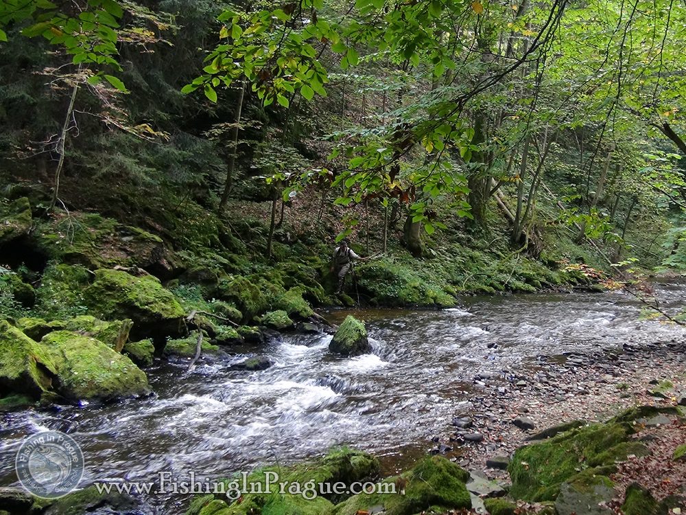 Fly fishing & tenkara in Czech Paradise