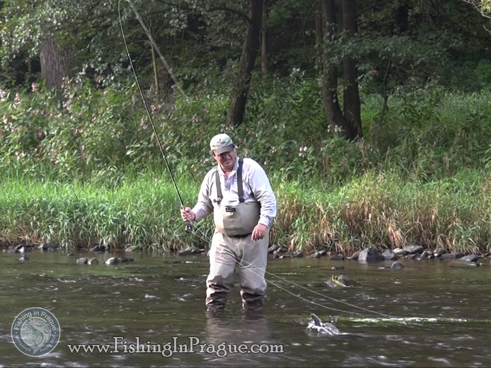 Fly fishing & tenkara in Czech Paradise