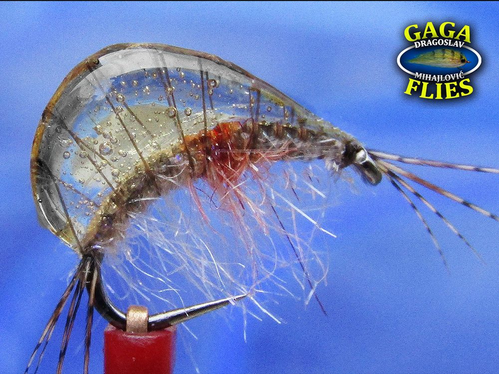 Gammarus by GAGA flies Gammarus by GAGA flies