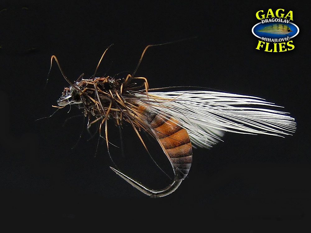 Wet fly by GAGA flies Wet fly by GAGA flies