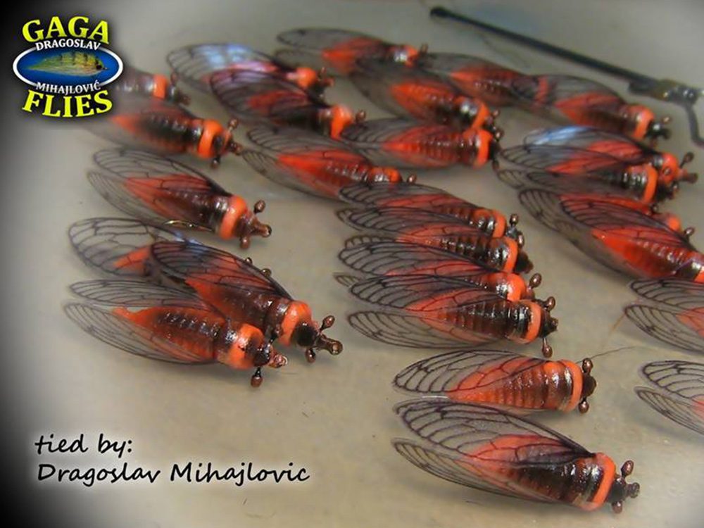 Stonefly by GAGA flies Stonefly by GAGA flies