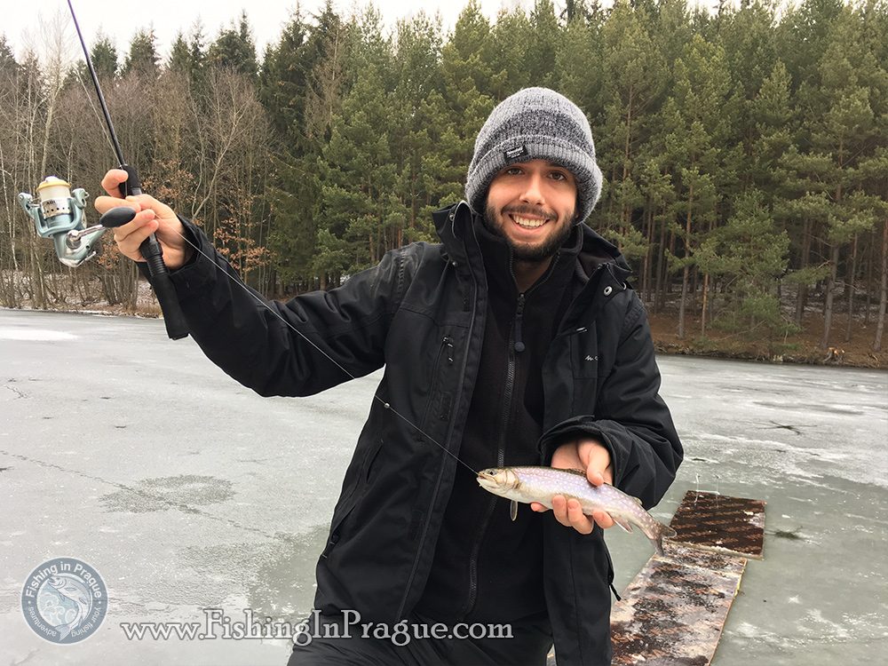 First small brookie