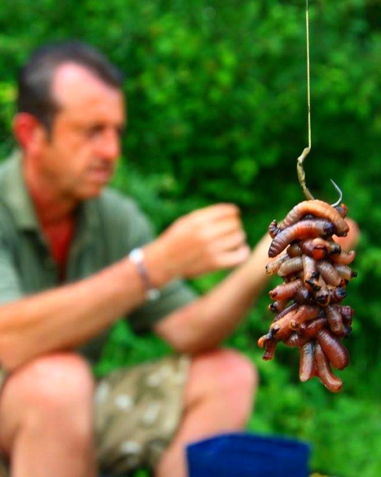 Frank WARWICK and special rig with worms