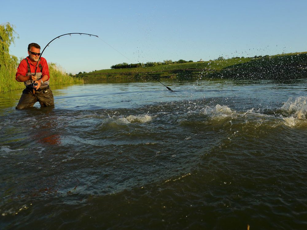 Fighting with huge sturgeon in Rumania on Danube