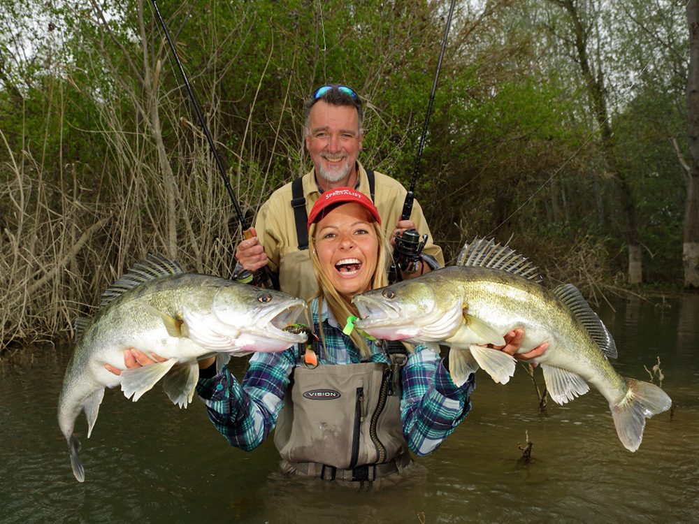 Zanders from Rio Ebro