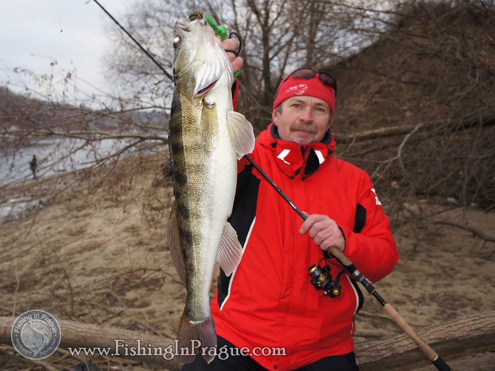 Konstantin Kuzmin, autumn walleye Konstantin Kuzmin, autumn walleye