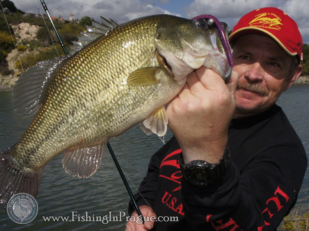 Konstantin Kuzmin, summer bass Konstantin Kuzmin, summer bass