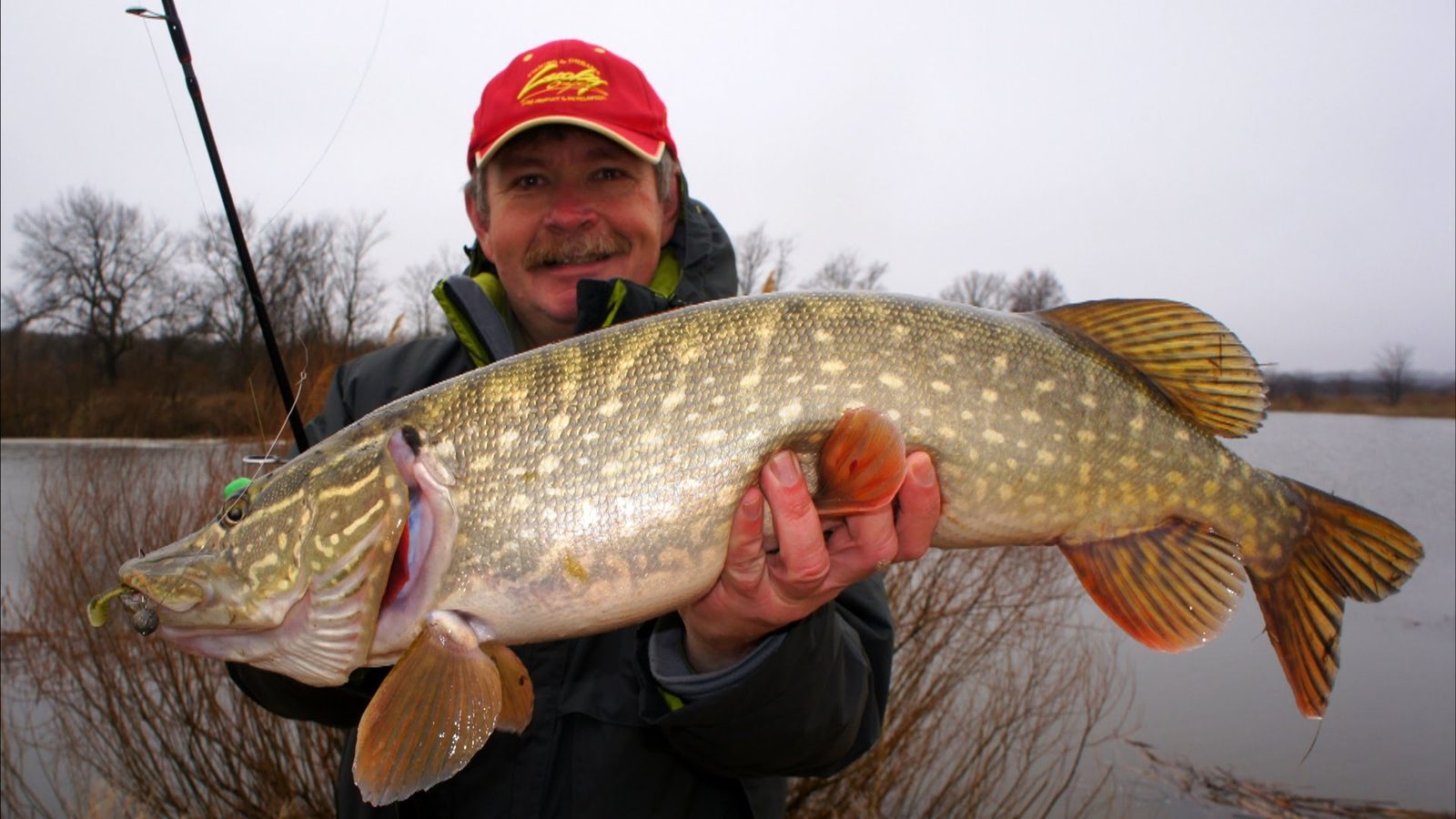 Konstantin Kuzmin, brilliant pike Konstantin Kuzmin, brilliant pike