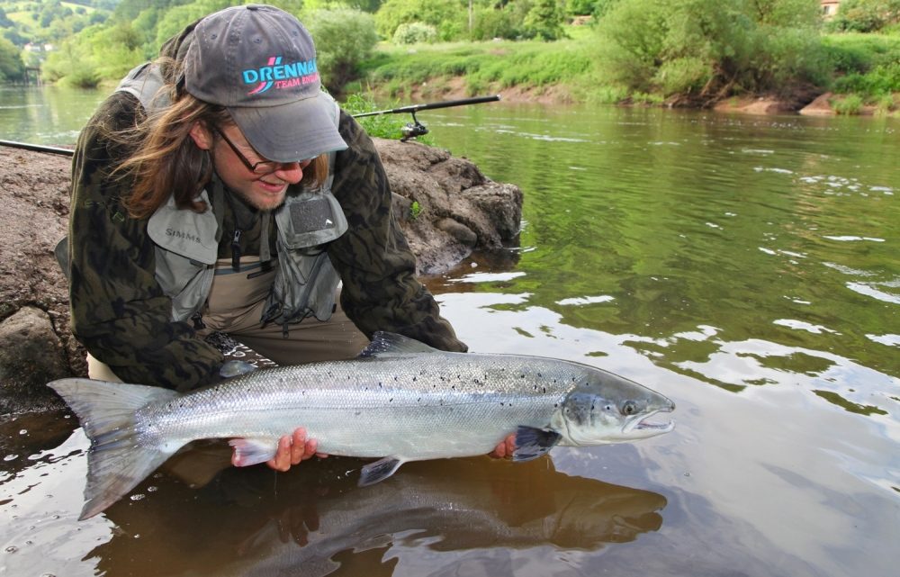 Salmon 17lbs,River Wye,Spinner