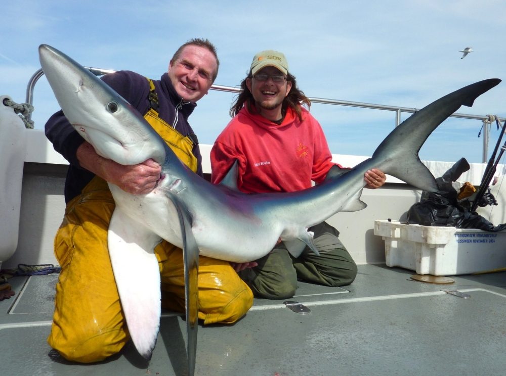 Blue shark 130lbs,Herring,Celtic Deeps