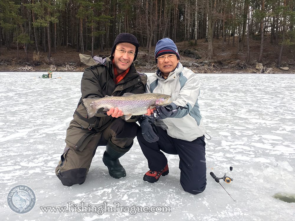 Here is She – the mother of all trouts!