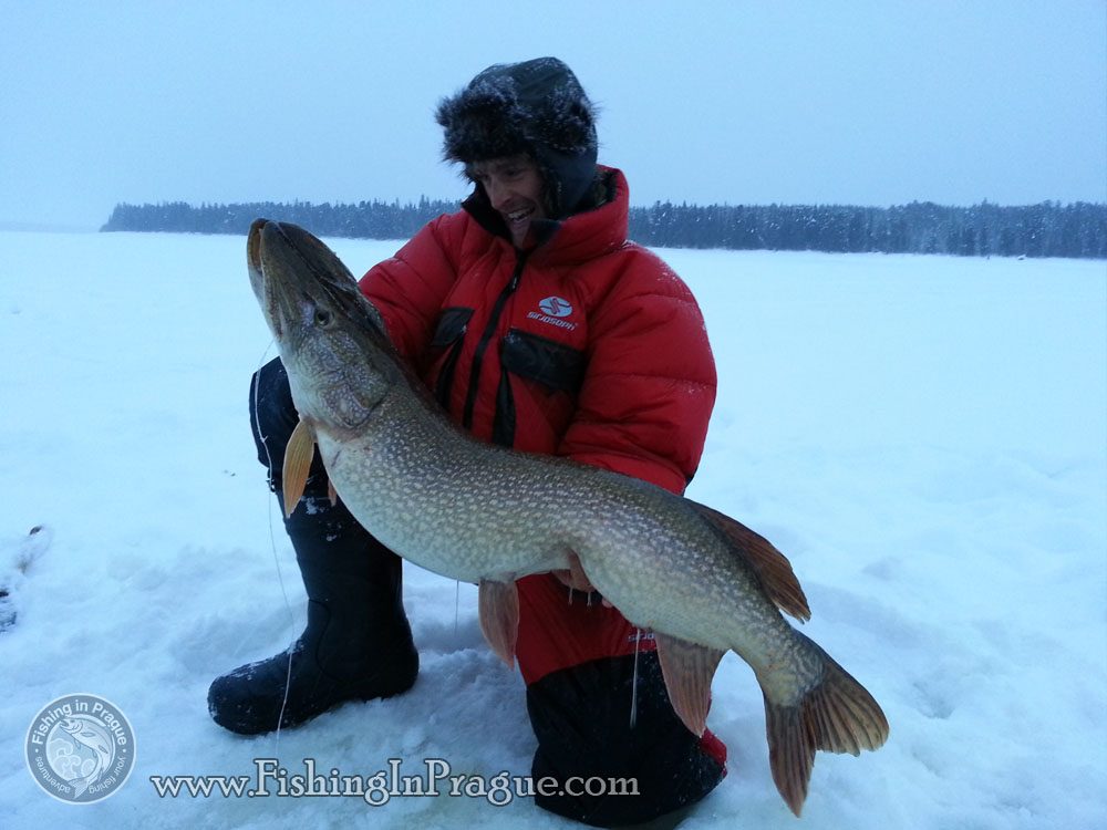 110 cm and 16 kg pike