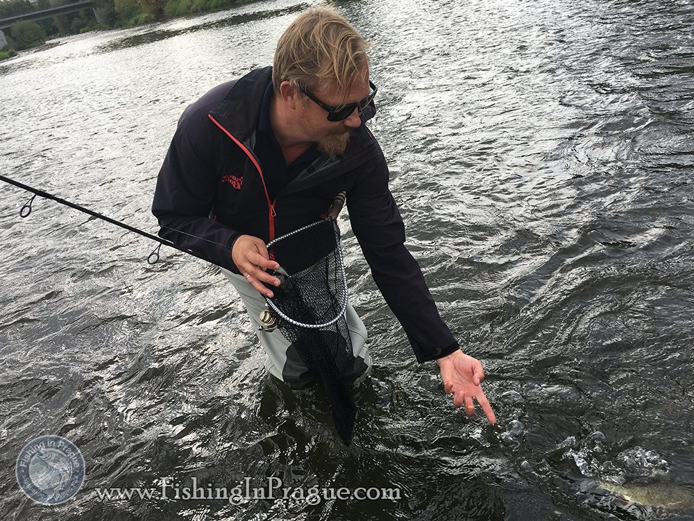 Catch & release