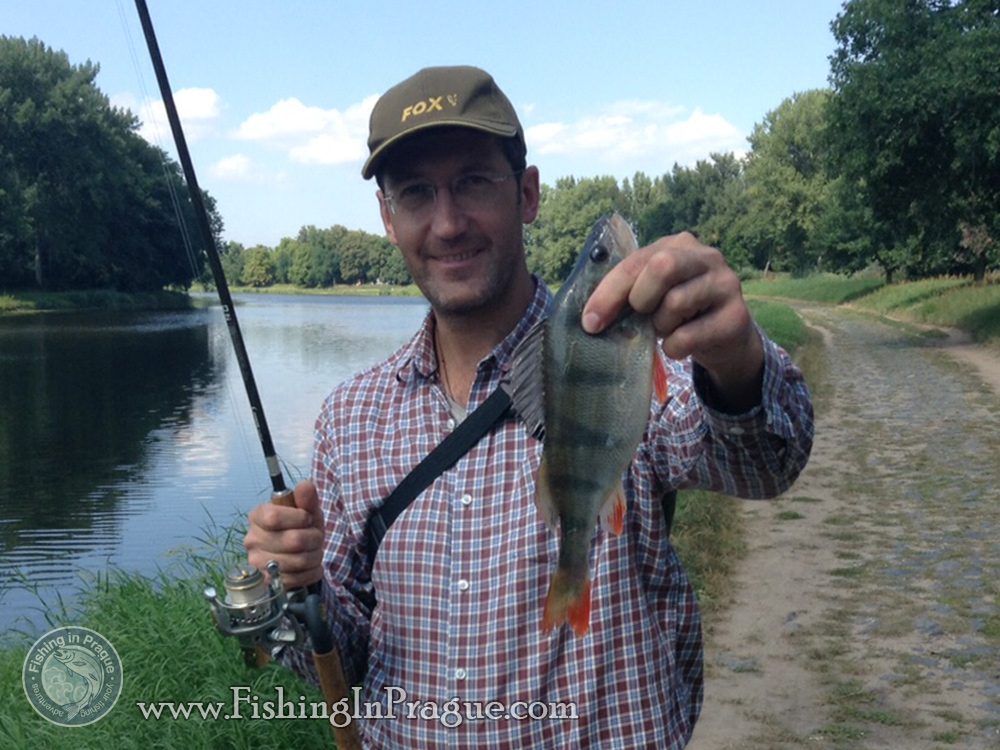 The largest perch