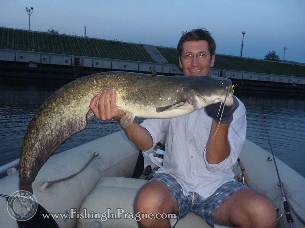 Outstanding young 35 pound catfish Outstanding young 35 pound catfish
