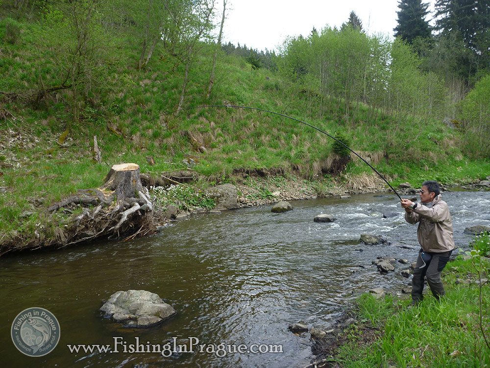 Fishing Carlsbad - catching big trout