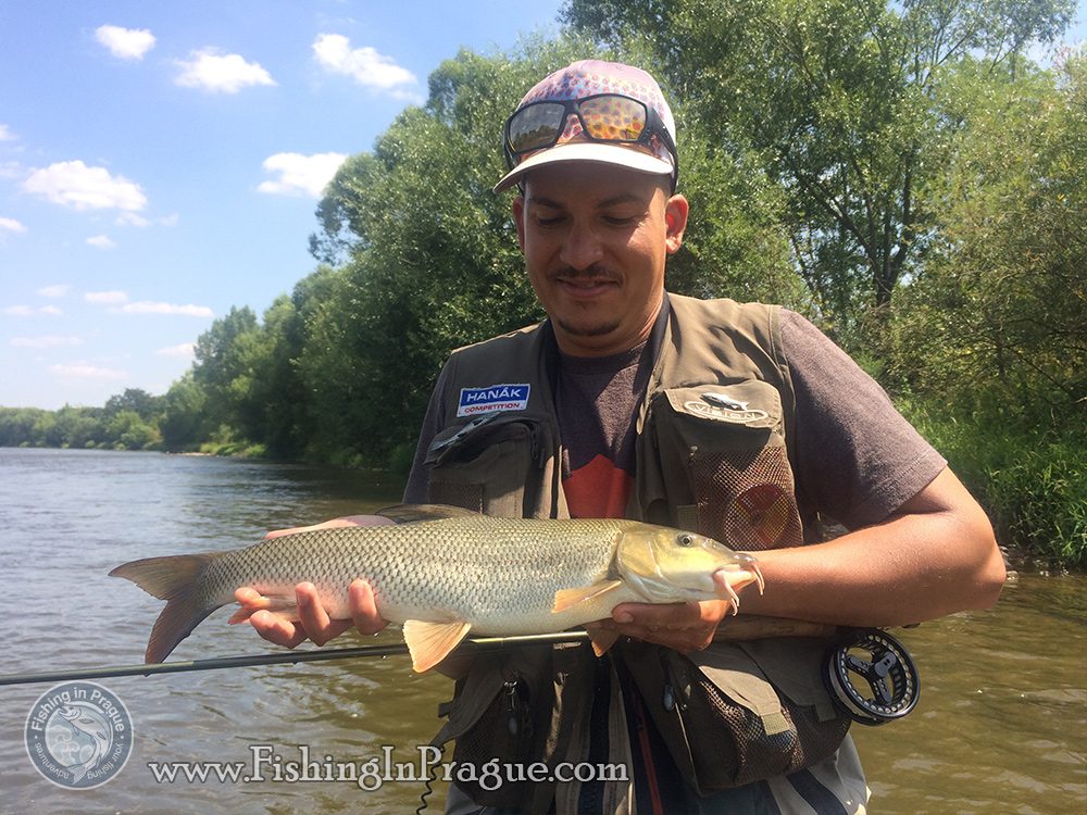 The first barbel of the day The first barbel of the day