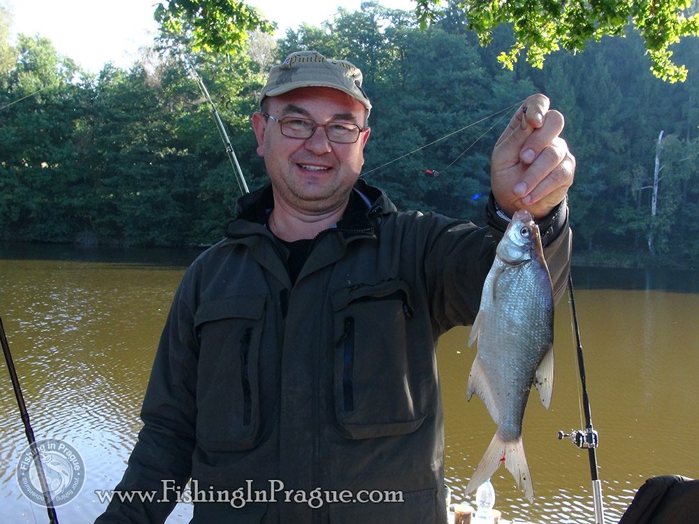 White sturgeon on live bait & grasscarp on bread