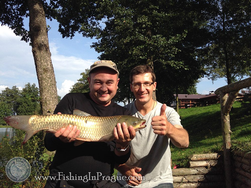 White sturgeon on live bait & grasscarp on bread