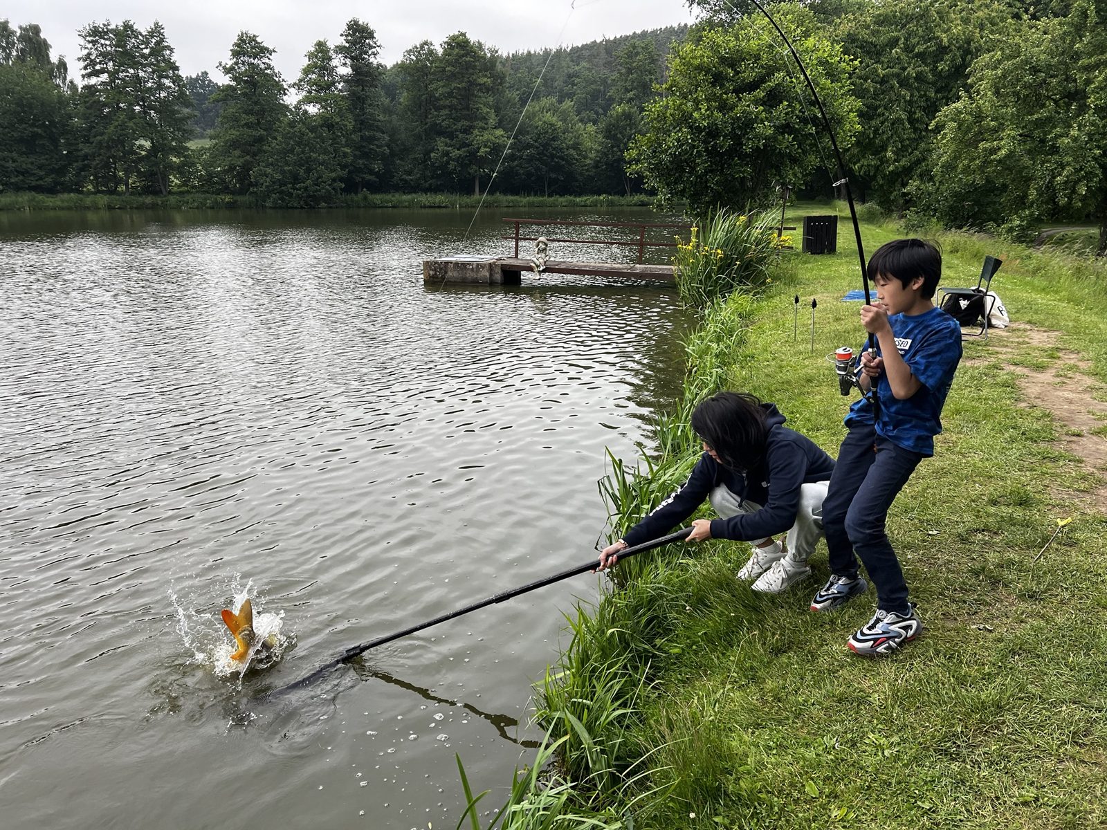 Two kids landing a carp at a lake – one holds the bent rod, the other reaches out with the landing net