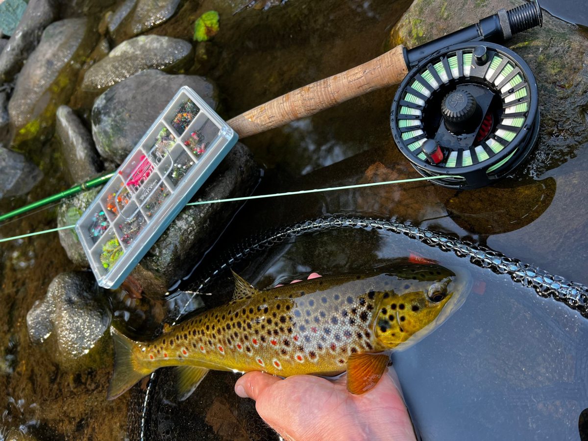 Brown trout in the water next to a fly rod, reel and an open box of nymphs and flies
