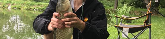 Carpfishing for grass carp