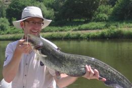 Catfish with clonk and lure