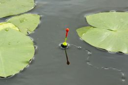 Fishing with bobber or float