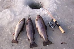 Icefishing (November – March)