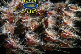 GAGA flies, interview with Milijana Mihailovic